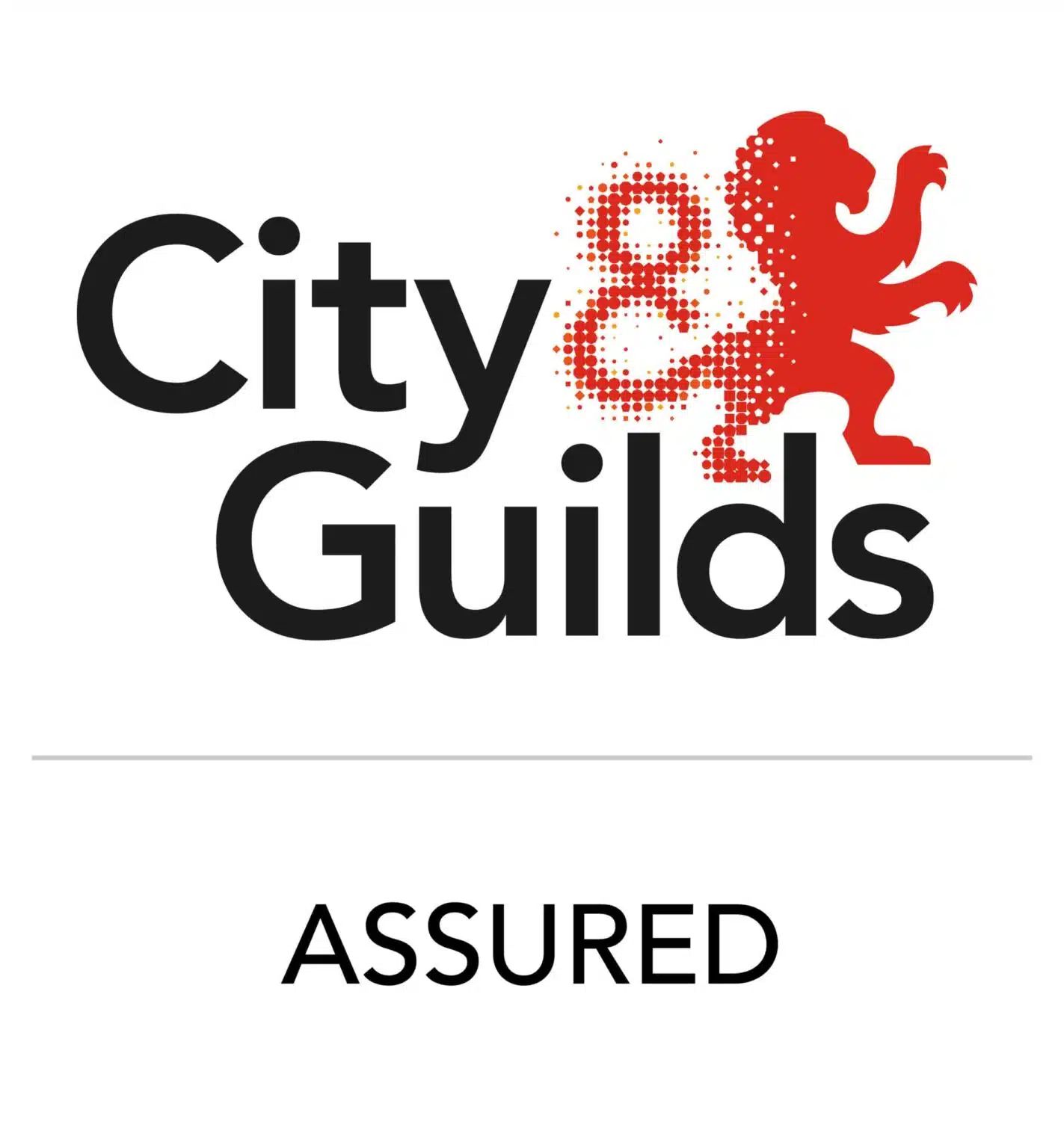 City and Guilds Assured Surfacers